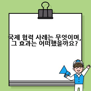 국제 협력 사례는 무엇이며, 그 효과는 어떠했을까요?