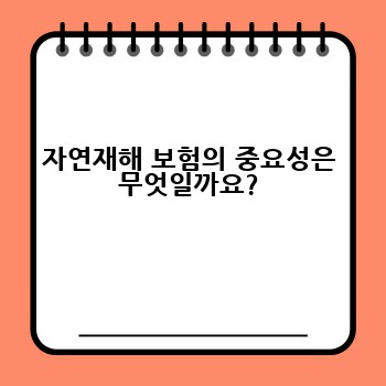 자연재해 보험의 중요성은 무엇일까요?