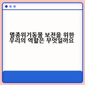 멸종위기동물 보전을 위한 우리의 역할은 무엇일까요