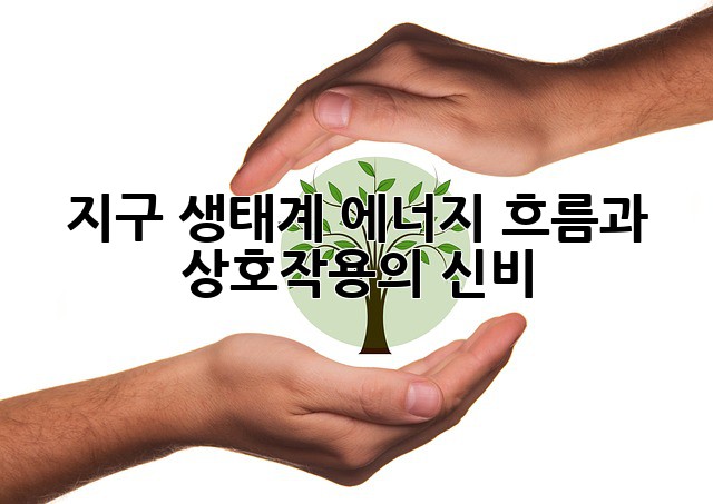 지구 생태계: 에너지 흐름과 상호작용의 신비