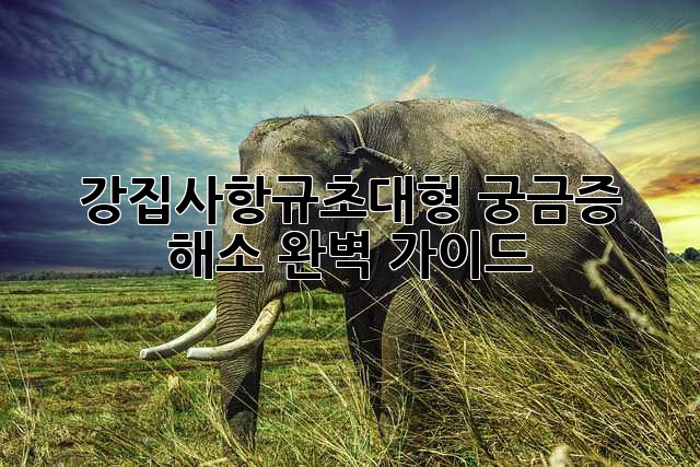 강집사항규초대형: 궁금증 해소 완벽 가이드