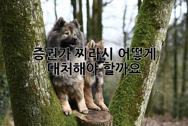 증권가 찌라시, 어떻게 대처해야 할까요?
