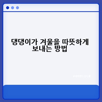 댕댕이가 겨울을 따뜻하게 보내는 방법