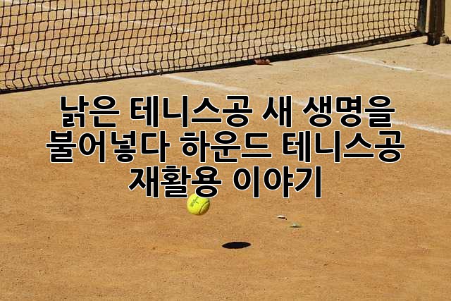 낡은 테니스공, 새 생명을 불어넣다: 하운드 테니스공 재활용 이야기