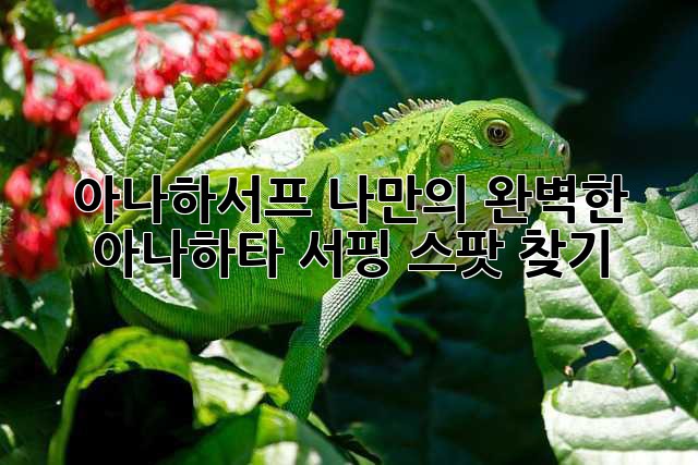 아나하서프: 나만의 완벽한 아나하타 서핑 스팟 찾기!