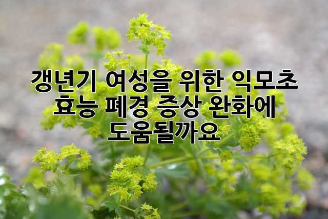 갱년기 여성을 위한 익모초 효능: 폐경 증상 완화에 도움될까요?