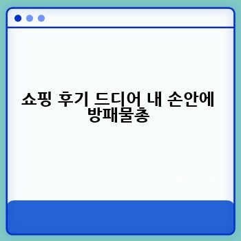 쇼핑 후기 드디어 내 손안에 방패물총