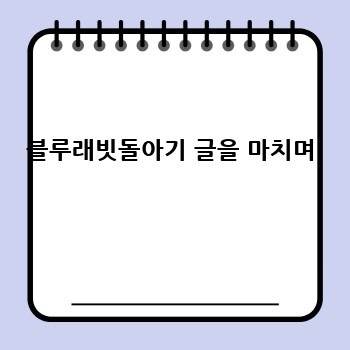 블루래빗돌아기 글을 마치며