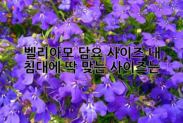 벨리아모 담요 사이즈, 내 침대에 딱 맞는 사이즈는?