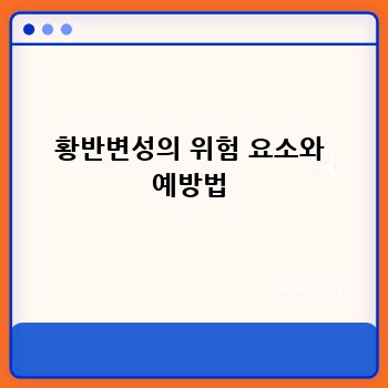 황반변성의 위험 요소와 예방법