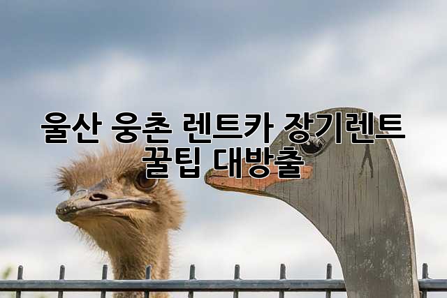 울산 웅촌 렌트카 장기렌트 꿀팁 대방출! 🥳