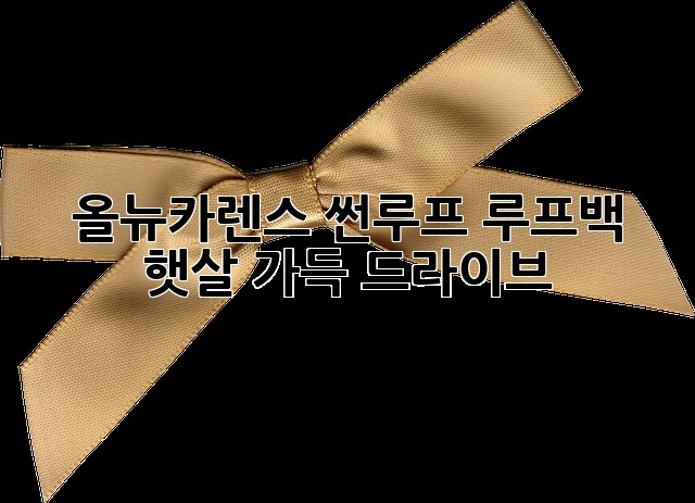 올뉴카렌스 썬루프 루프백: 햇살 가득 드라이브!