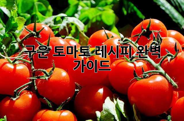 구운 토마토 레시피: 완벽 가이드