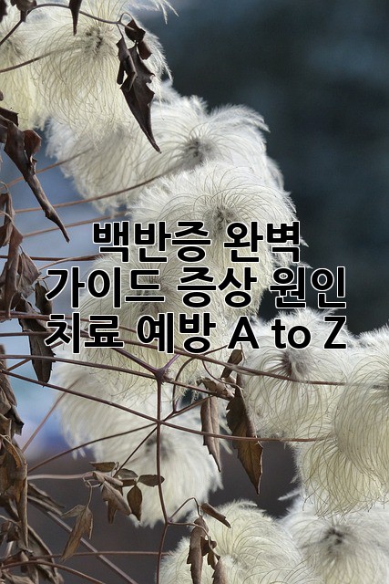 백반증 완벽 가이드: 증상, 원인, 치료, 예방 A to Z 🔍